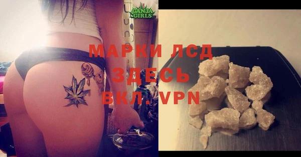 дмт Арсеньев