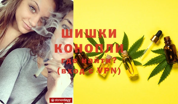 дмт Арсеньев