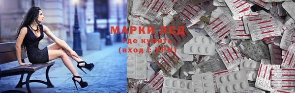 дмт Арсеньев