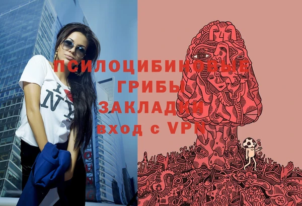 бутират Алексин