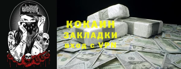дмт Арсеньев