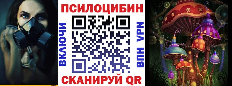 MEGA ТОР Чернушка Псилоцибиновые грибы Psilocybine cubensis