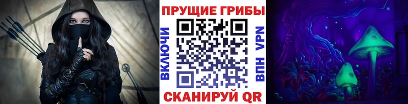 Псилоцибиновые грибы GOLDEN TEACHER Чернушка